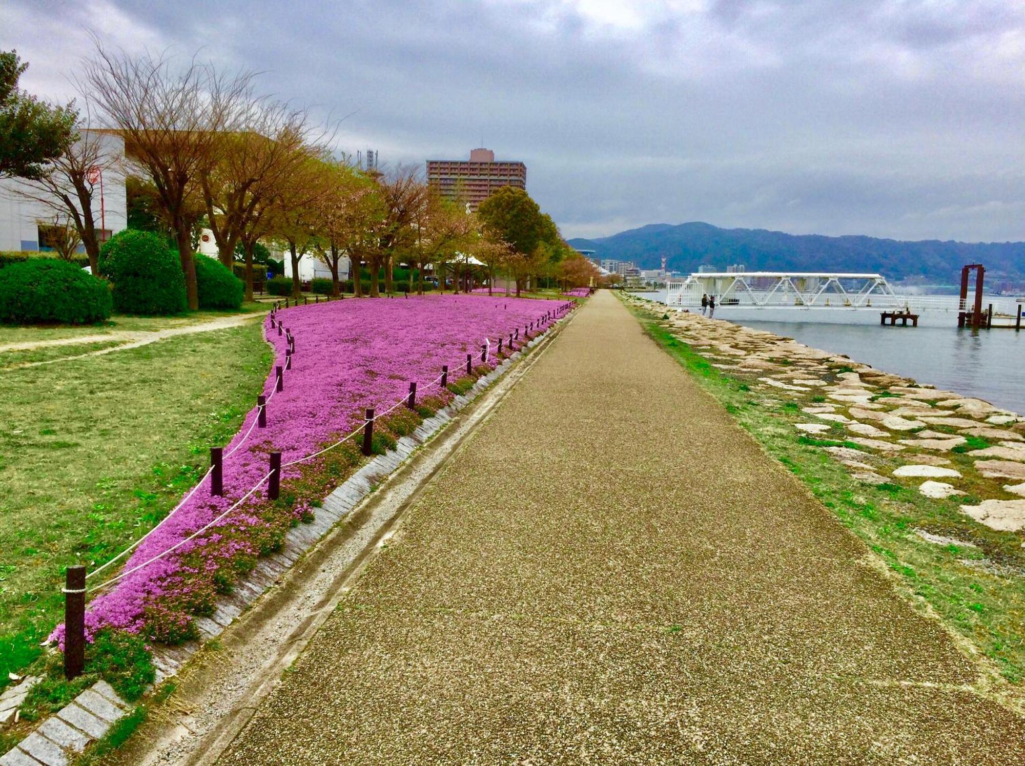 Koke Musu Inn Otsu Exterior foto