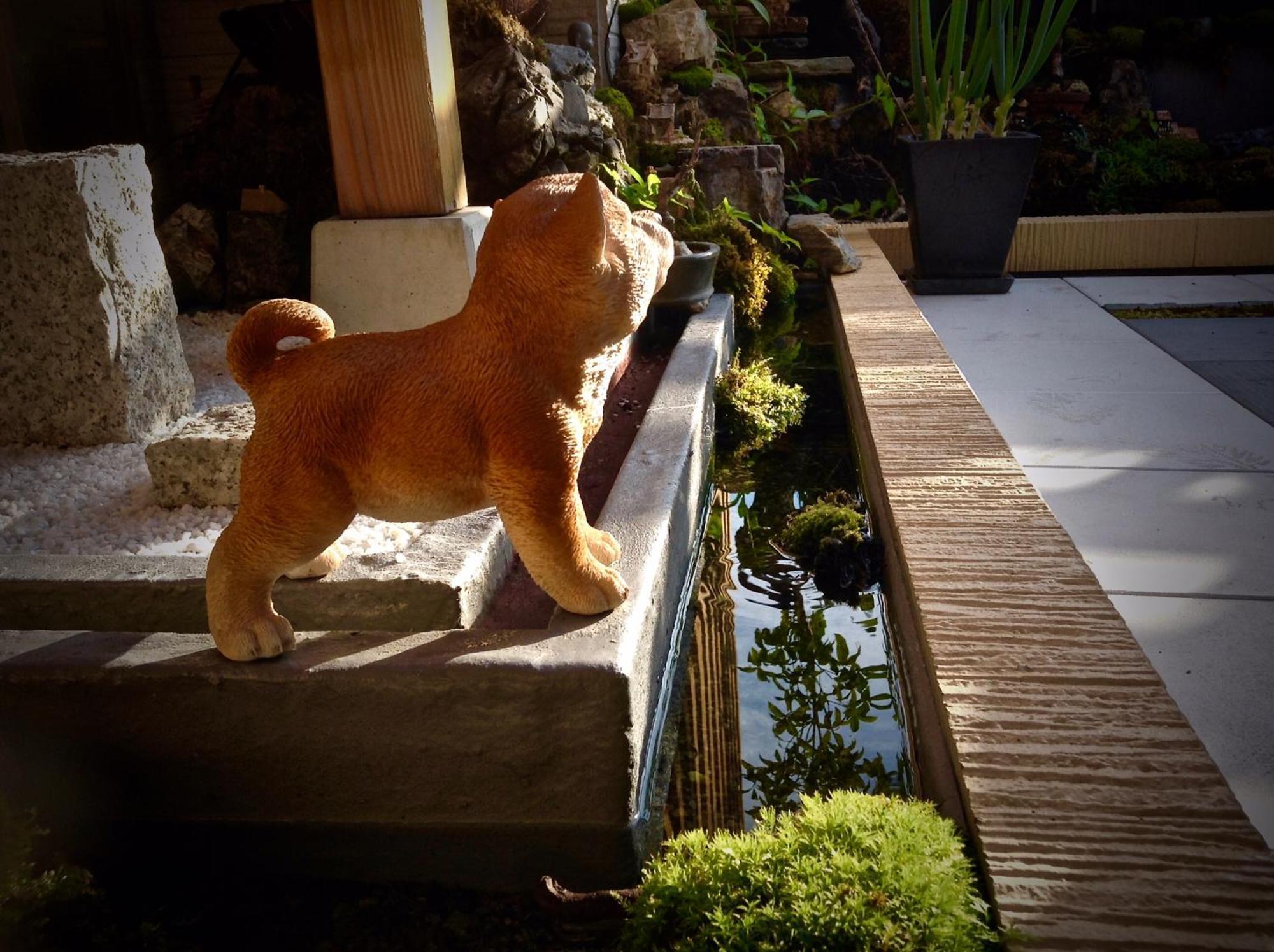 Koke Musu Inn Otsu Exterior foto